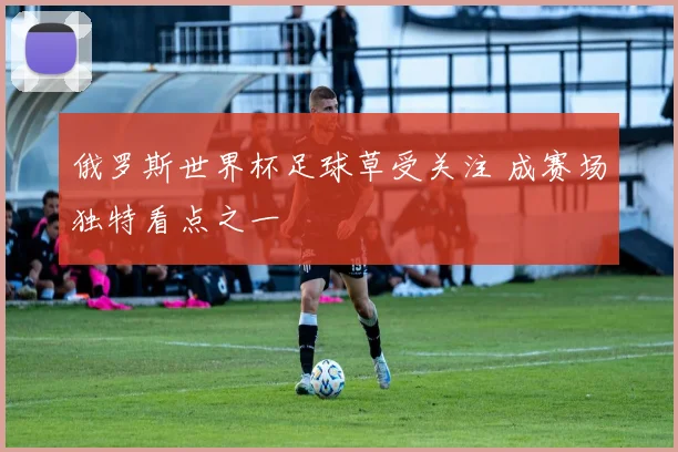 俄罗斯世界杯足球草受关注 成赛场独特看点之一